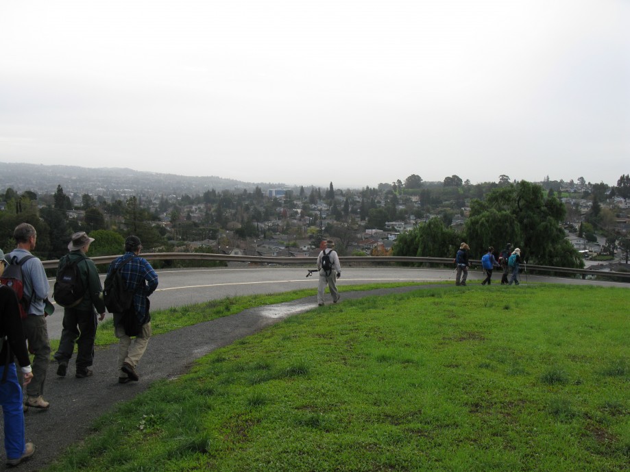 Trip photo #23/32 Castro Valley hills