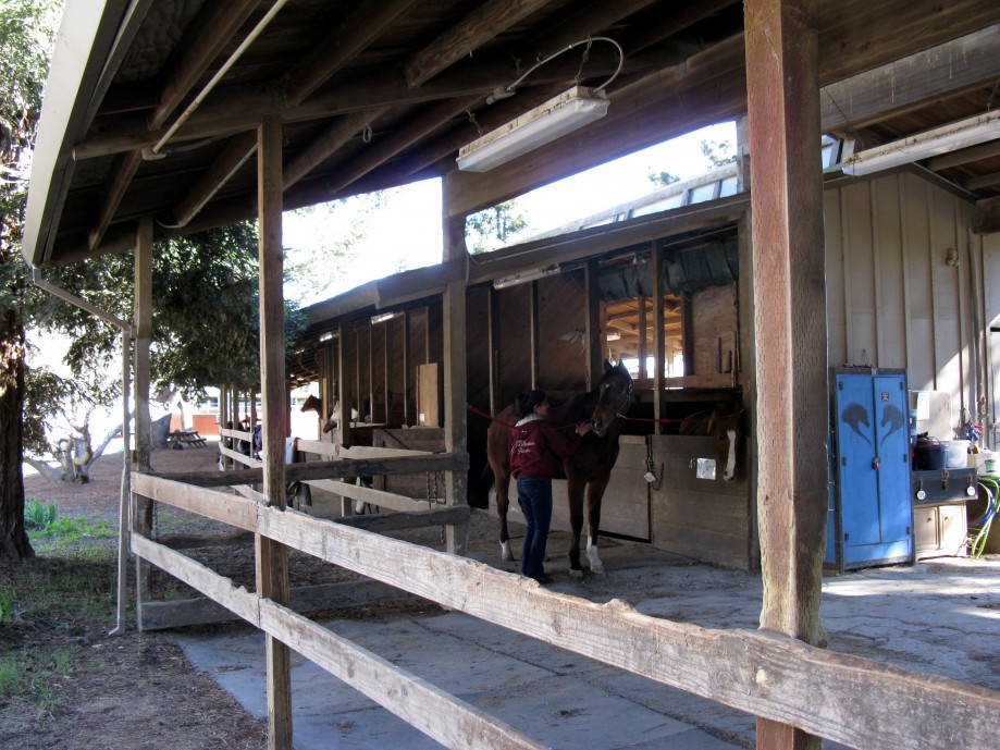 Trip photo #11/20 Stables at end of Horseshoe trail