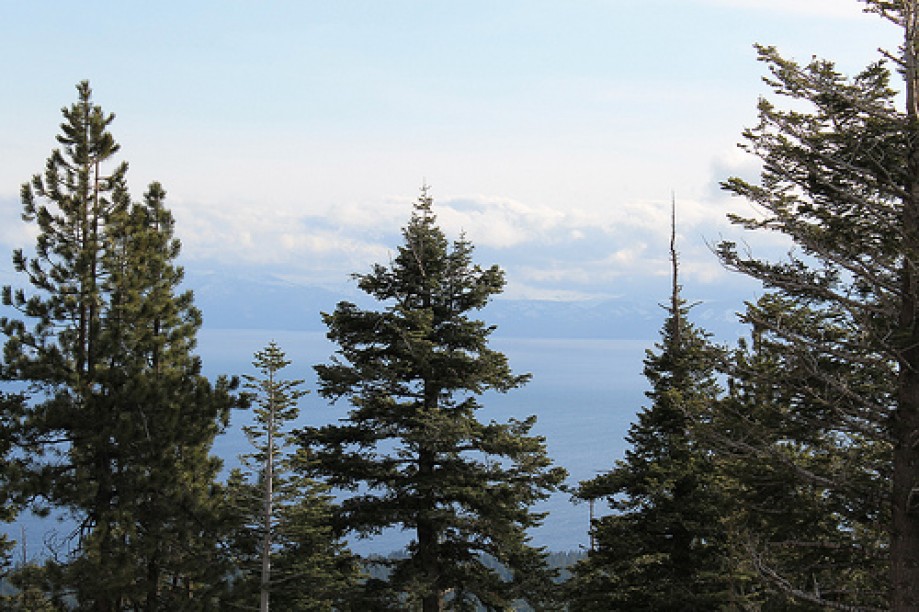 Trip photo #43/72 Lake Tahoe