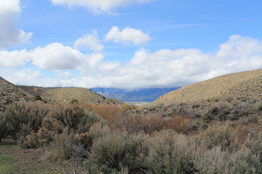 Trip photo #6/102 Jumbo Grade Trail - East of Washoe Lake  , Nevada