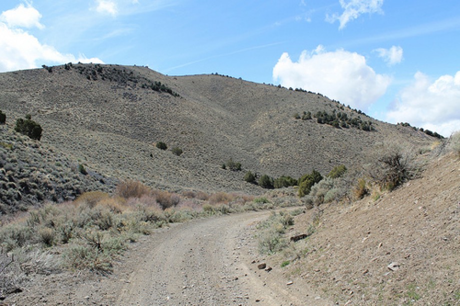Trip photo #13/102 Jumbo Grade Trail - East of Washoe Lake  , Nevada