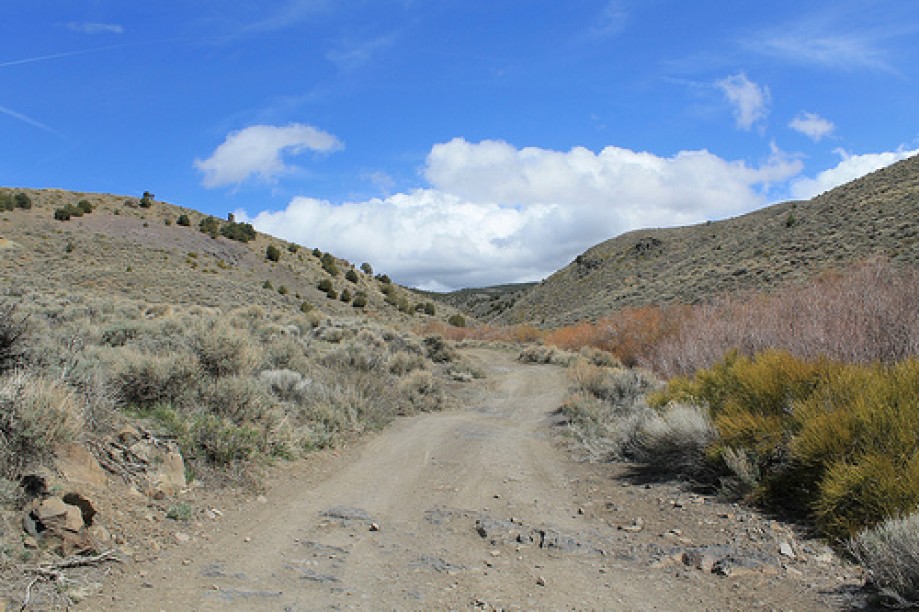 Trip photo #14/102 Jumbo Grade Trail - East of Washoe Lake  , Nevada