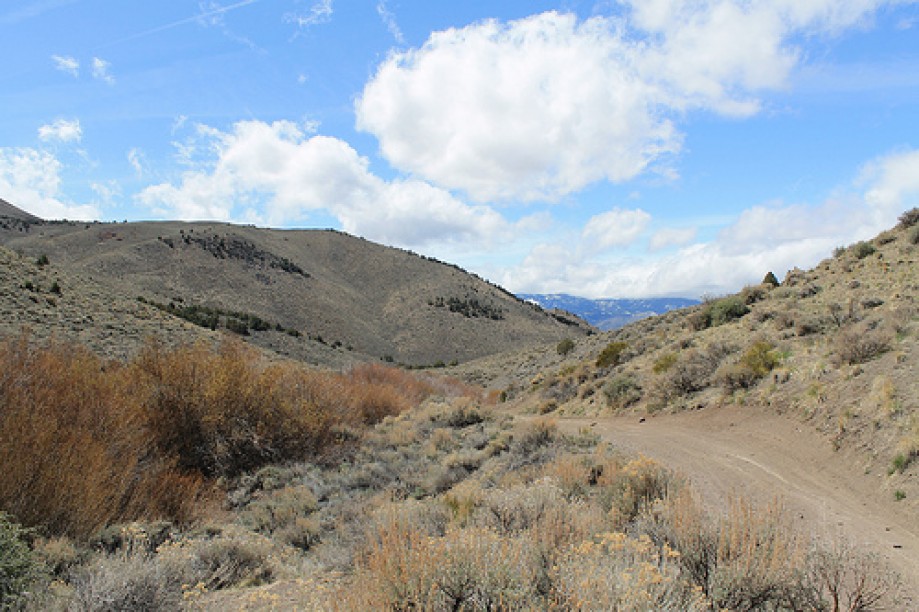Trip photo #17/102 Jumbo Grade Trail - East of Washoe Lake  , Nevada