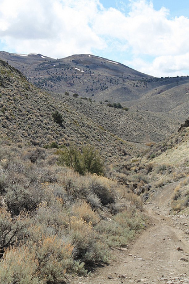 Trip photo #19/102 Jumbo Grade Trail - East of Washoe Lake  , Nevada