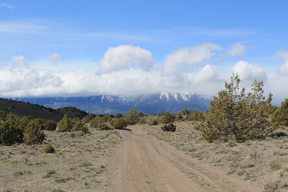 Trip photo #24/102 Jumbo Grade Trail - East of Washoe Lake  , Nevada