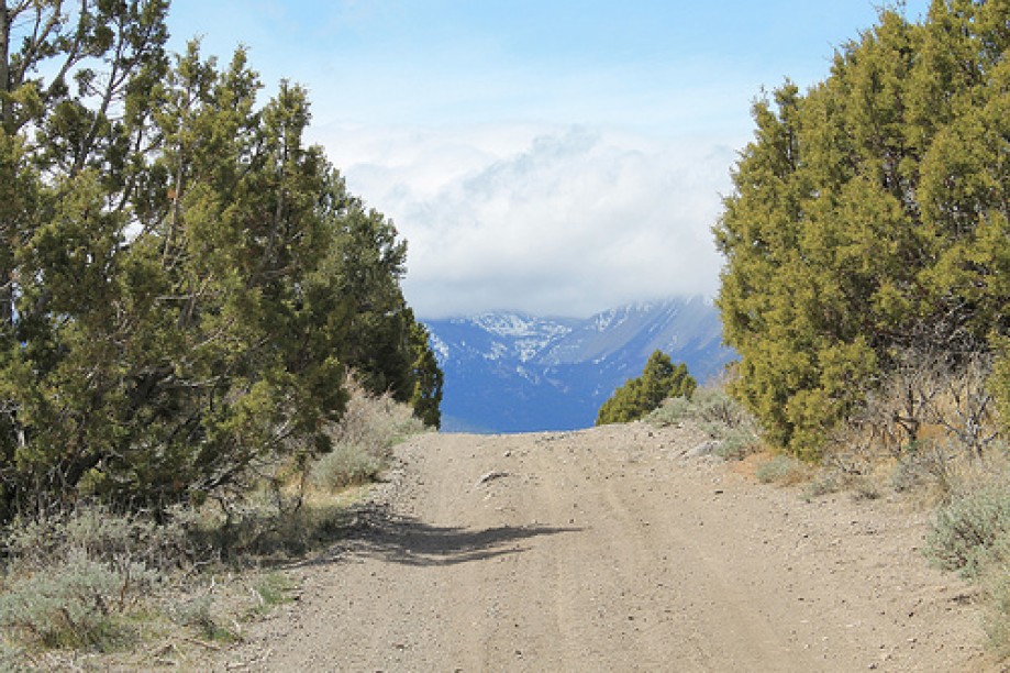 Trip photo #15/102 Jumbo Grade Trail - East of Washoe Lake  , Nevada