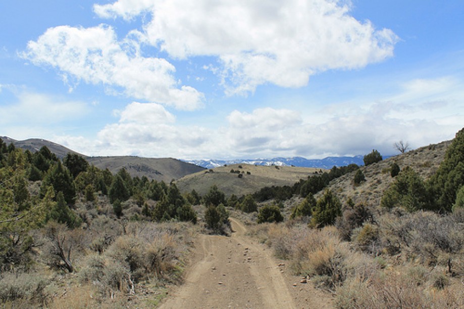 Trip photo #25/102 Jumbo Grade Trail - East of Washoe Lake  , Nevada