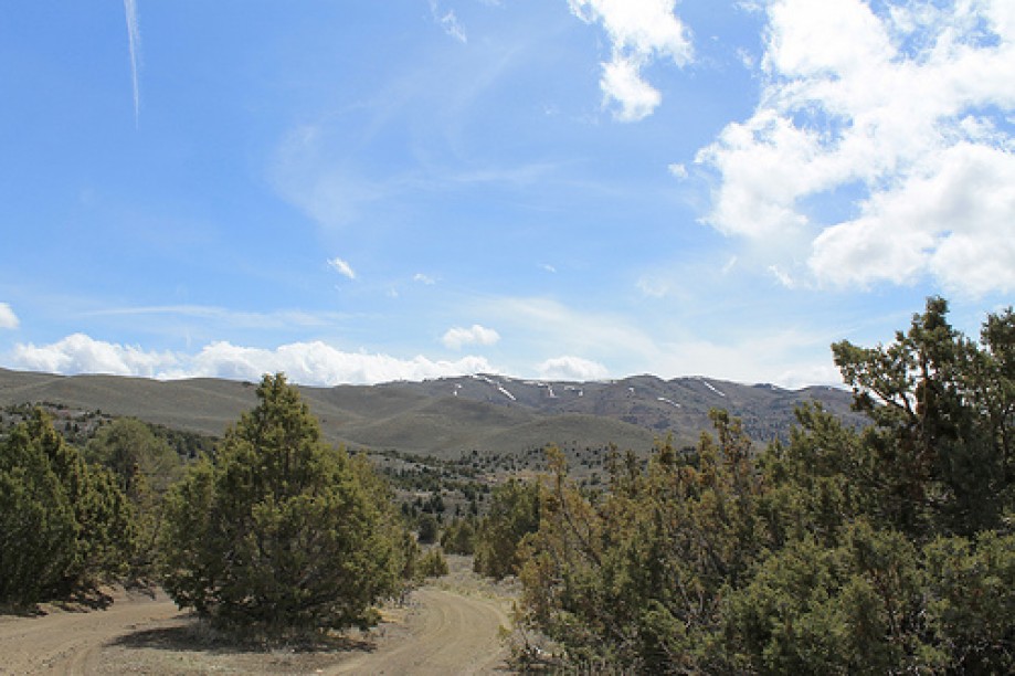 Trip photo #27/102 Jumbo Grade Trail - East of Washoe Lake  , Nevada