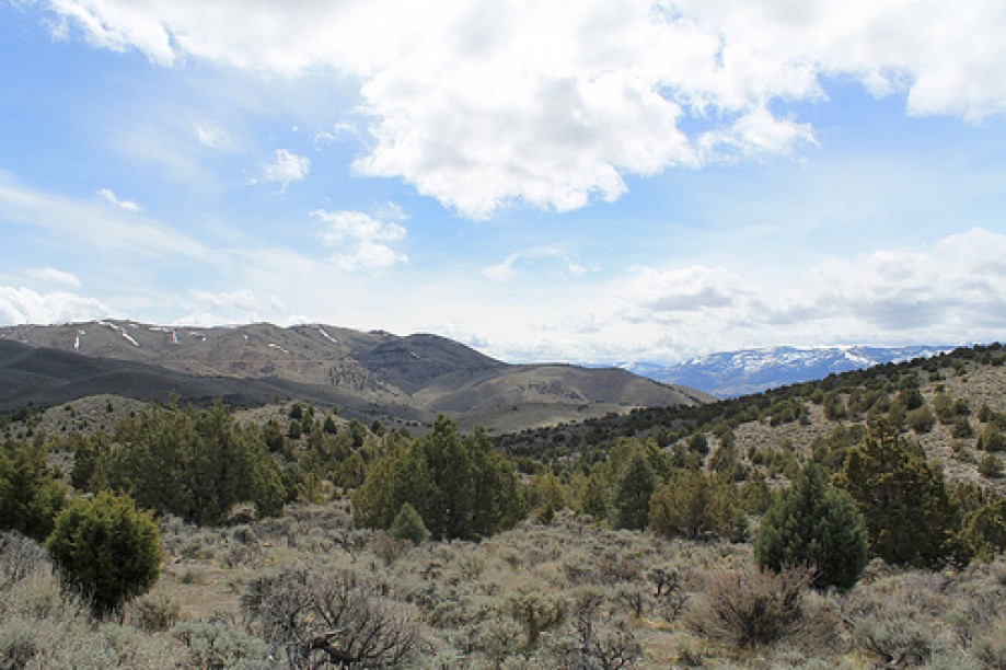 Trip photo #30/102 Jumbo Grade Trail - East of Washoe Lake  , Nevada