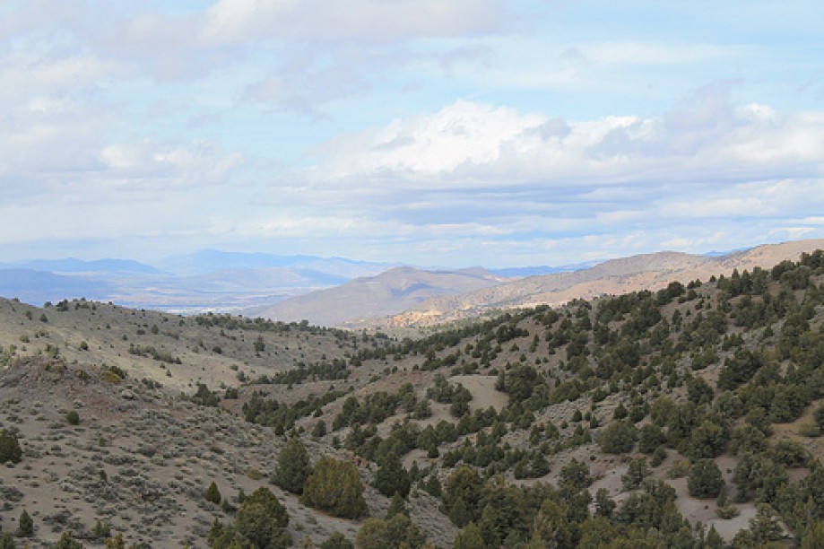 Trip photo #35/102 Jumbo Grade Trail - East of Washoe Lake  , Nevada