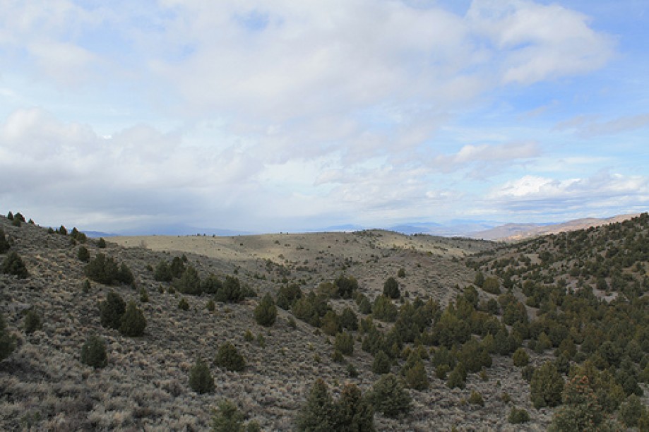 Trip photo #36/102 Jumbo Grade Trail - East of Washoe Lake  , Nevada