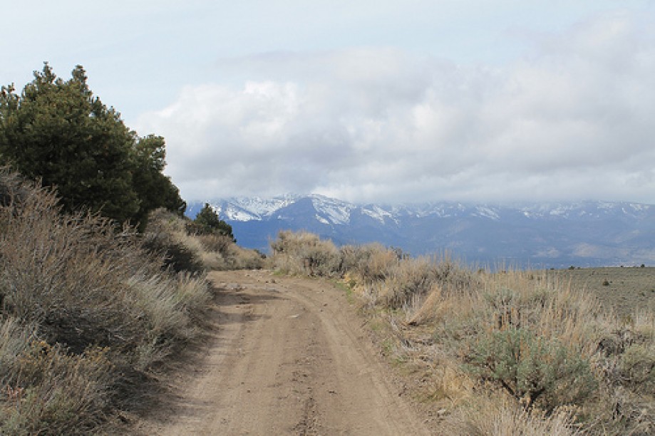 Trip photo #38/102 Jumbo Grade Trail - East of Washoe Lake  , Nevada