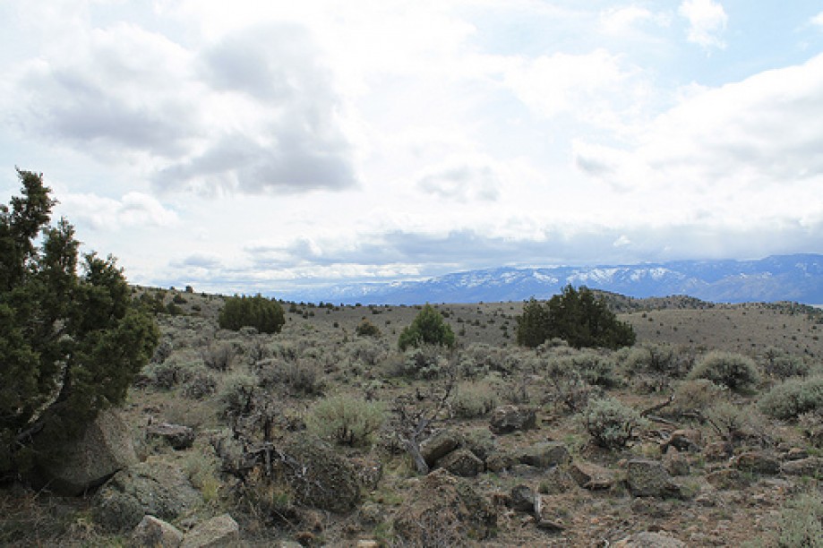 Trip photo #41/102 Jumbo Grade Trail - East of Washoe Lake  , Nevada