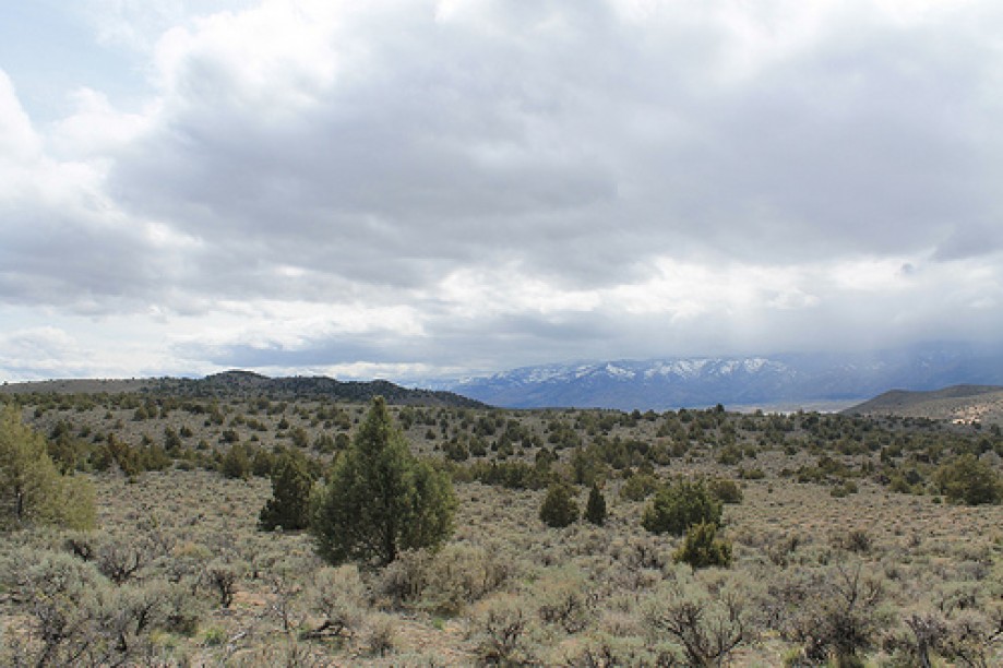 Trip photo #49/102 Jumbo Grade Trail - East of Washoe Lake  , Nevada