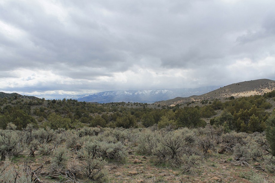 Trip photo #50/102 Jumbo Grade Trail - East of Washoe Lake  , Nevada