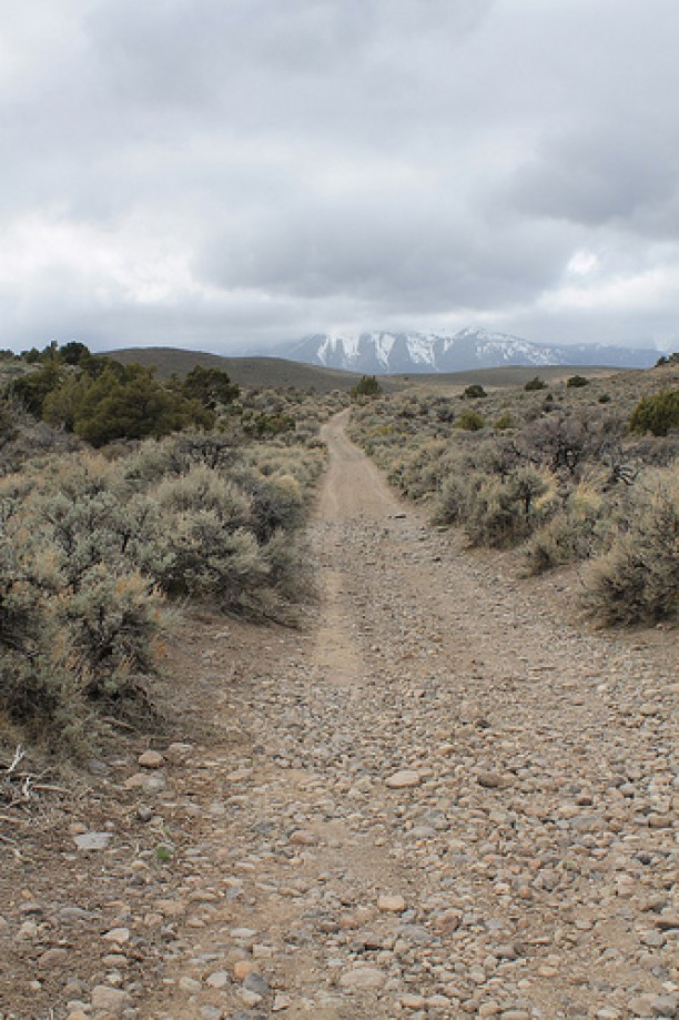 Trip photo #51/102 Jumbo Grade Trail - East of Washoe Lake  , Nevada