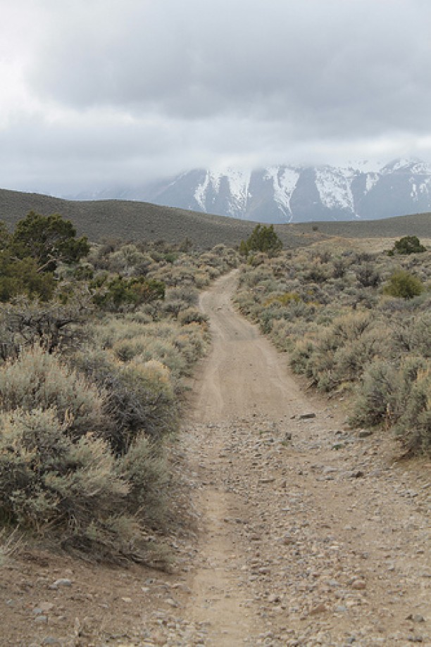 Trip photo #52/102 Jumbo Grade Trail - East of Washoe Lake  , Nevada