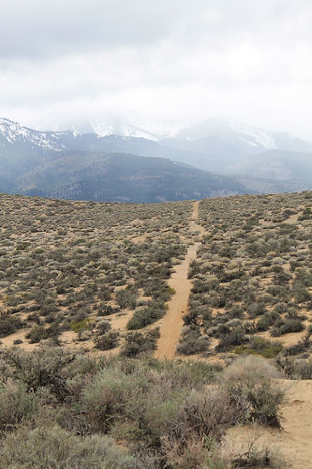 Trip photo #85/102 Jumbo Grade Trail - East of Washoe Lake  , Nevada