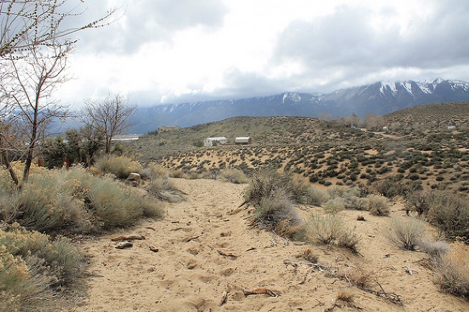 Trip photo #87/102 Jumbo Grade Trail - East of Washoe Lake  , Nevada