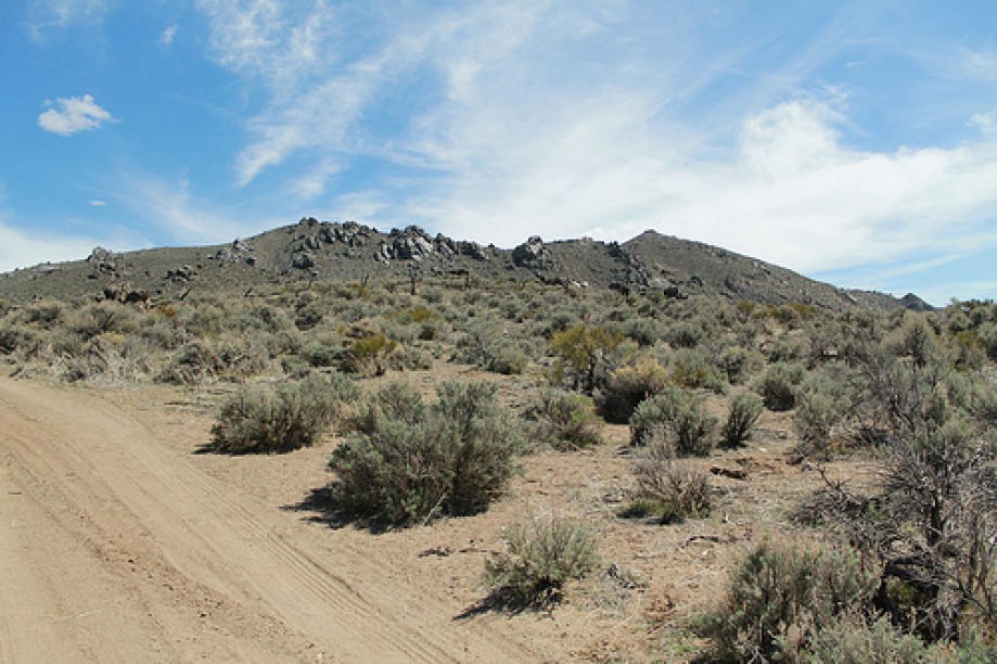 Trip photo #1/125 Prison Hill trail , Carson City