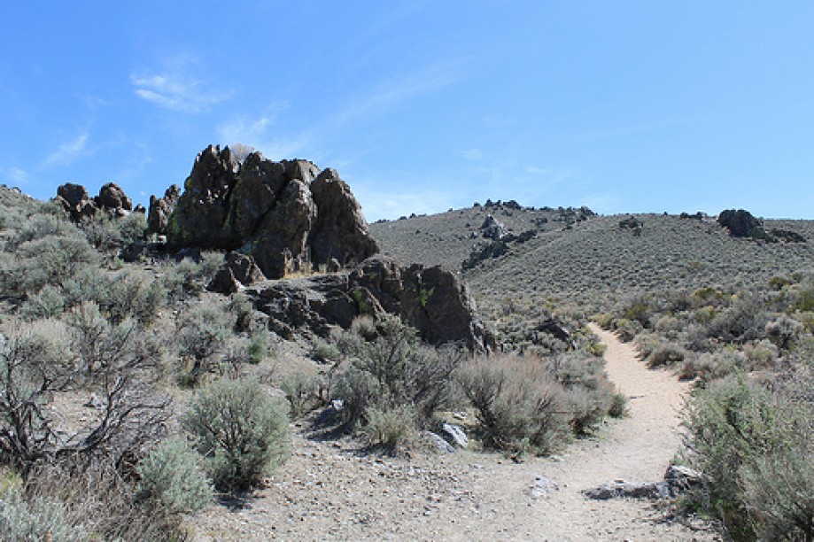 Trip photo #6/125 Prison Hill trail , Carson City