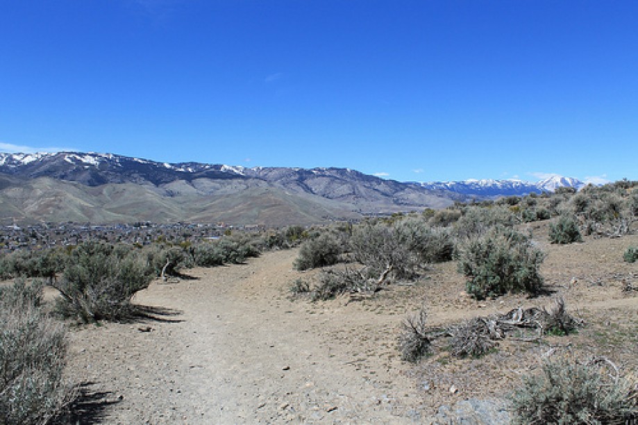 Trip photo #5/125 Prison Hill trail , Carson City