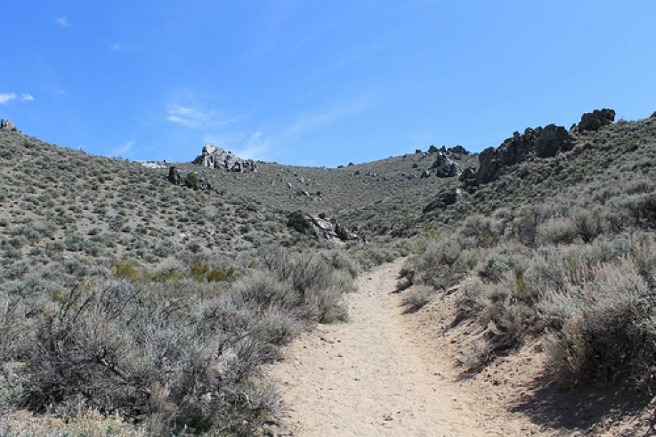 Trip photo #9/125 Prison Hill trail , Carson City