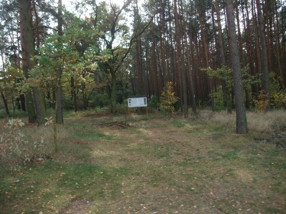 Trip photo #43/46 Znowu cmentarz olęderski.
