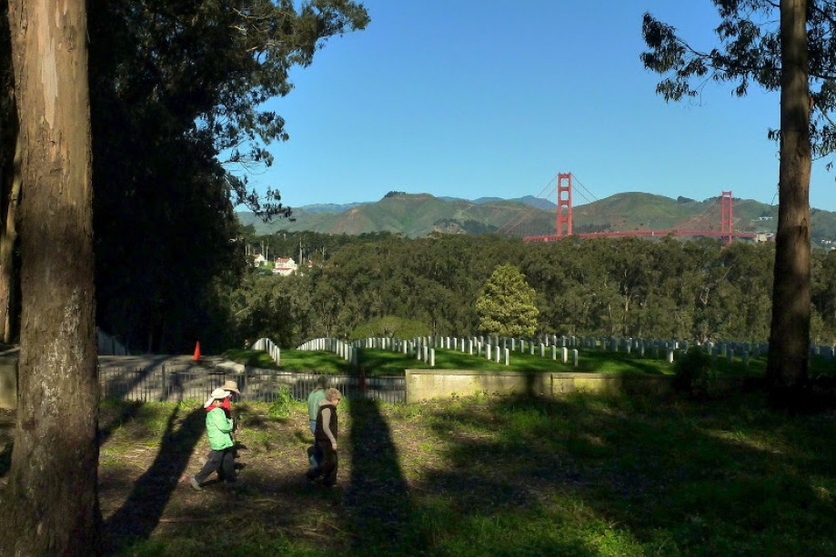 Trip photo #17/22 Cemetery Overlook