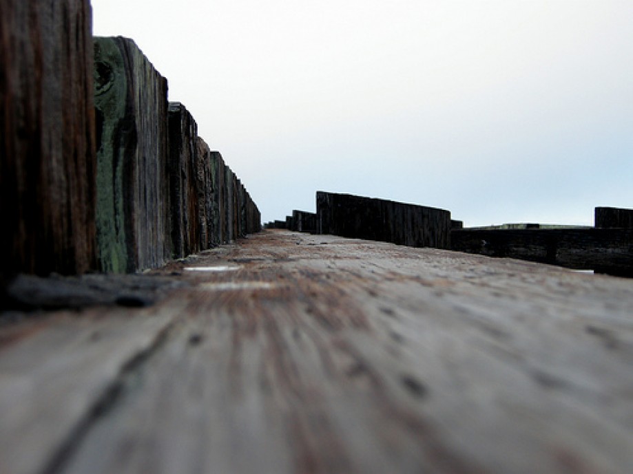 Trip photo #5/6 On Top of Old Dock