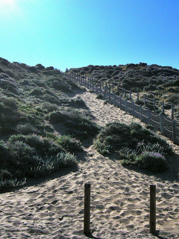 Trip photo #12/50 Sand Steps at Baker Beach