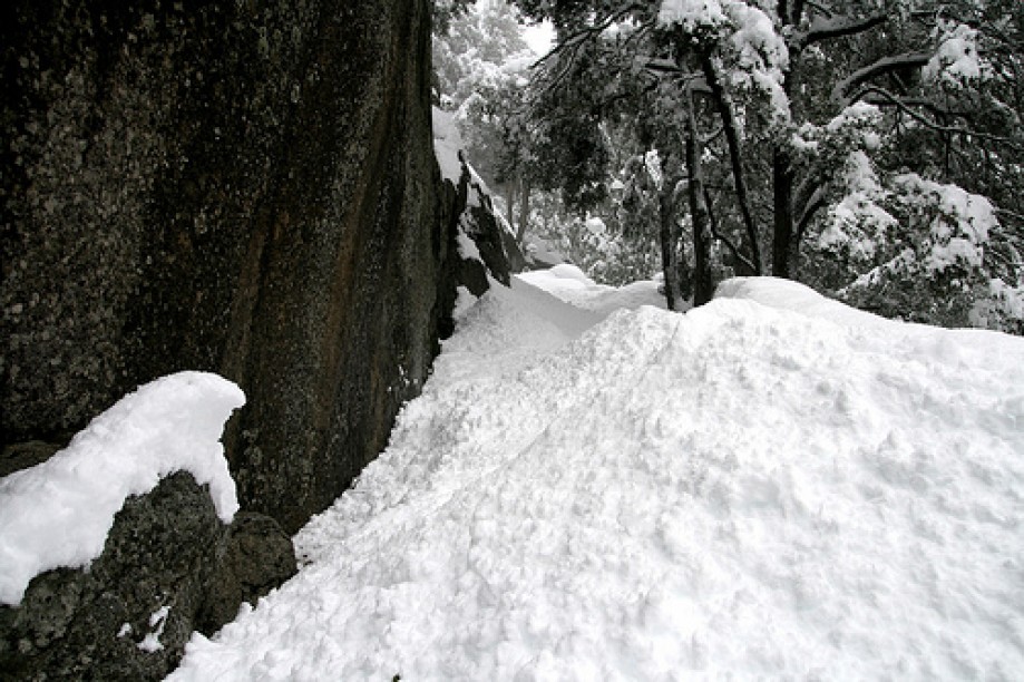 Trip photo #31/62 Waist Deep Snow on the Trail