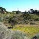 Lobos Creek Valley