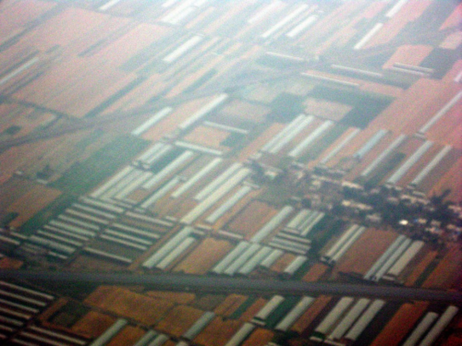 Trip photo #41/47 White Structures are Greenhouses, Brown is Wheat