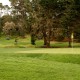 Carmel Golf Courses Walk