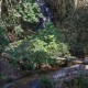 Last Waterfall on the trail.  Most people visit this by walking down from Doi Suthep Temple.