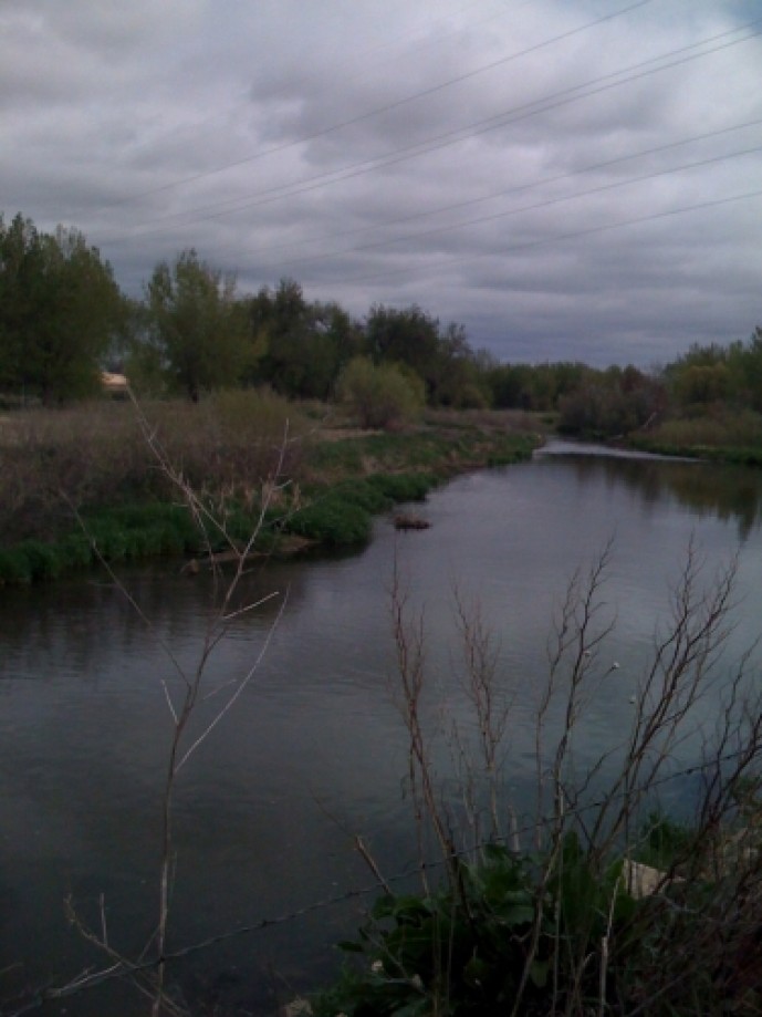Trip photo #5/24 Poudre-Learning-Center_5.jpg