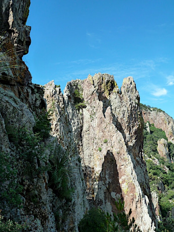 Trip photo #2/5 Emory Peak Trail