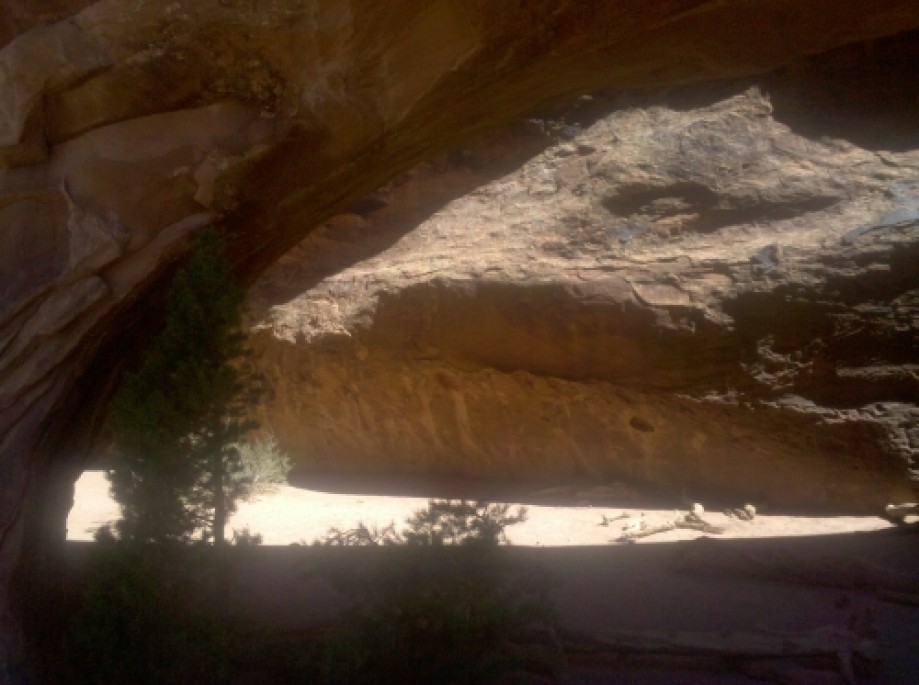 Trip photo #3/5 Navajo Arch