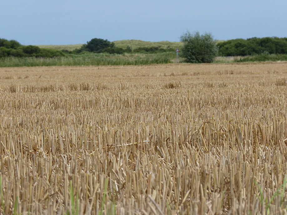 Trip photo #14/38 Across the Wheat