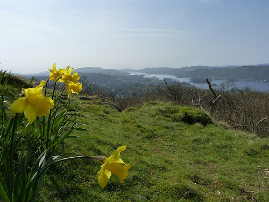 Trip photo #9/16 View over Windermere