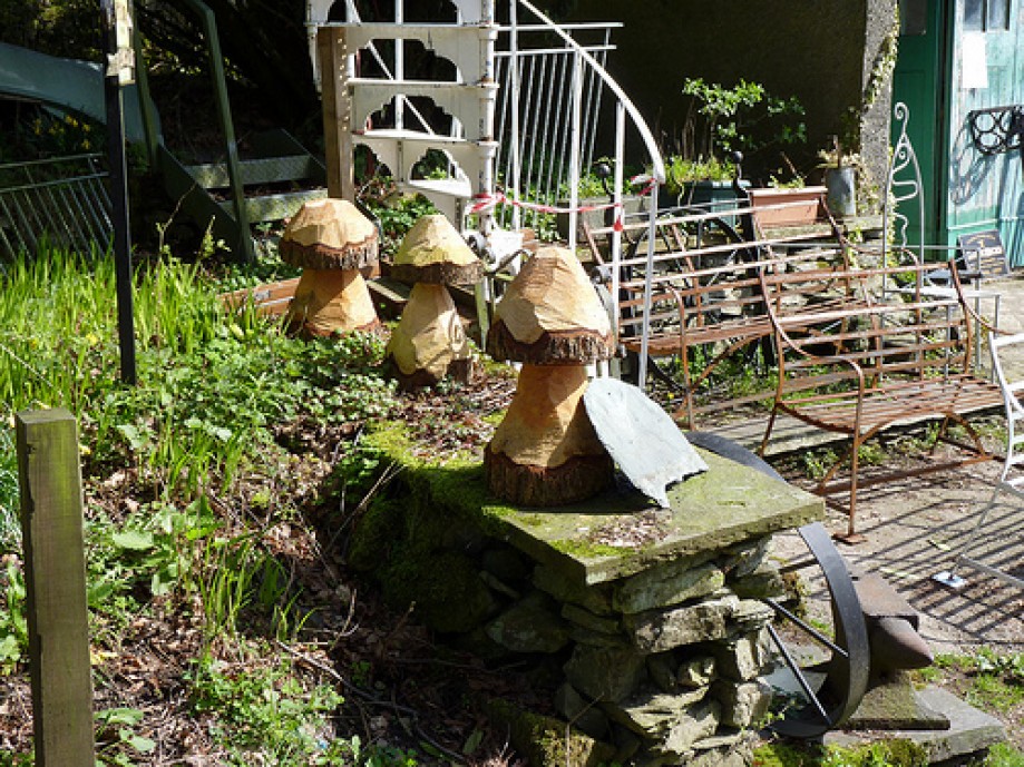 Trip photo #13/16 Wooden toadstools