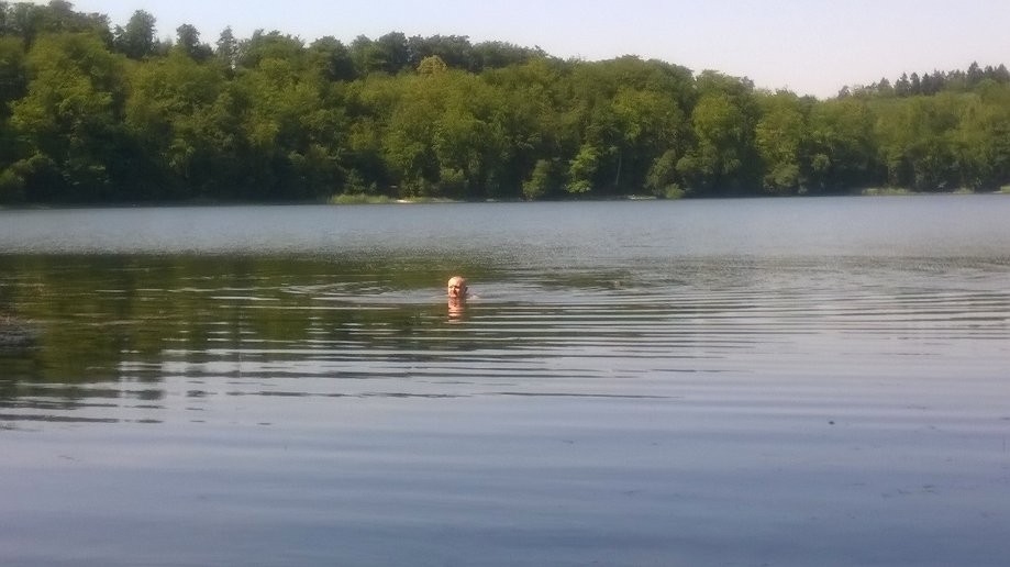 Trip photo #4/4 Małżonek się pluska w jeziorze otomińskim.