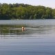 Małżonek się pluska w jeziorze otomińskim.
