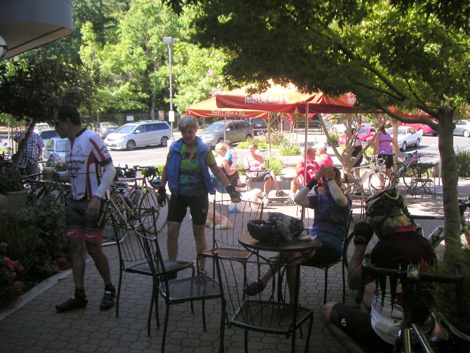 Trip photo #3/5 Refreshment stop at Peet's in Danville