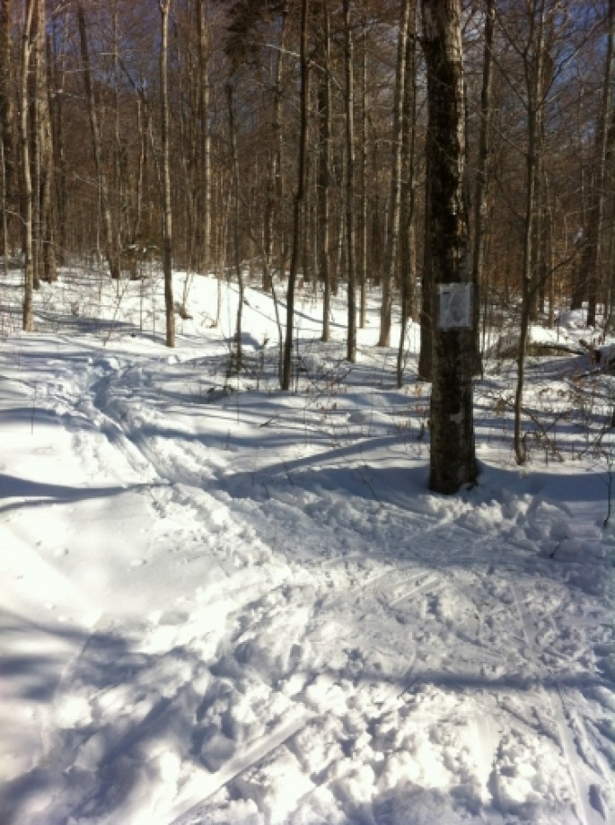 Trip photo #5/8 Upper and Lower Frost Trail Junction