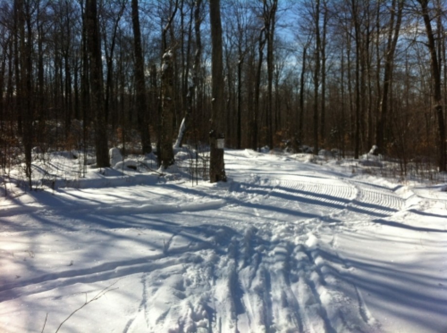 Trip photo #7/8 Back to Groomed Trail