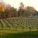 Francuski cmentarz wojskowy