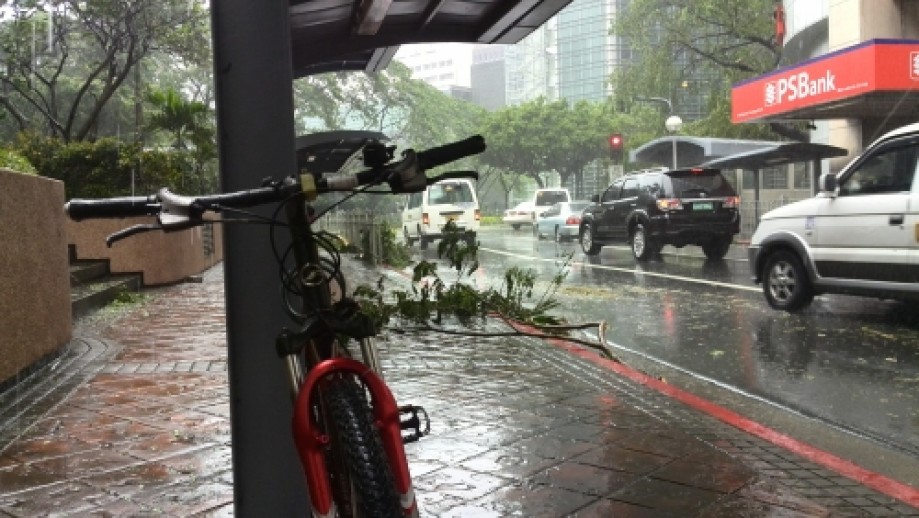 Trip photo #4/23 Downpour at Paseo plaza