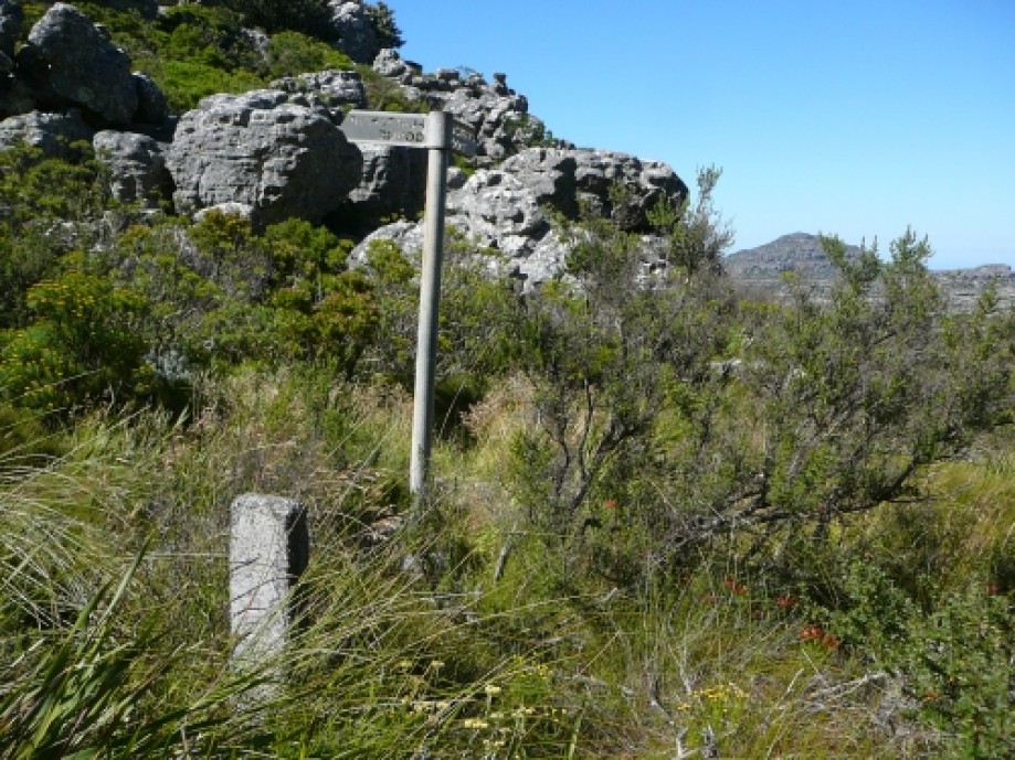 Trip photo #17/23 The signpost pointing towards the decent route